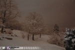Snowy landscape
