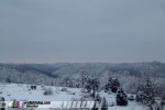 Snowy landscape