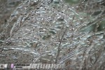 Hickory, NC ice storm