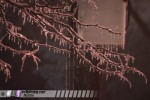 St. Louis ice storm