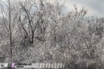 St. Louis ice storm