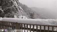 Snowstorm scene