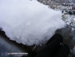 Two inches in Charleston