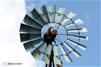 Old windmill at Fort Supply, OK on May 26