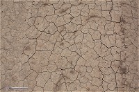 Dry cracked dirt road in Southwest Kansas on May 26