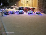 Snow over Christmas lights