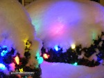 Snow over Christmas lights