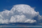 Cumulus congestus and pileus