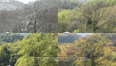 Four Season Timelapse