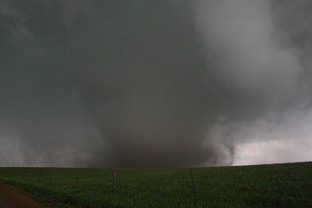 January 29 severe storms in St. Louis