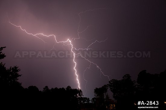 Lightning over treeline with power flashover