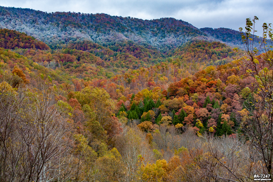 Fayette County snow line and fall colors