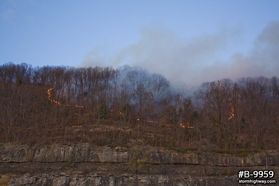 Daytime forest fire in WV