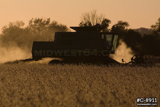 Combine soybean harvester sunset 5