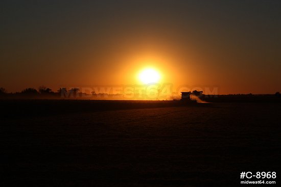 Combine soybean harvester sunset 10