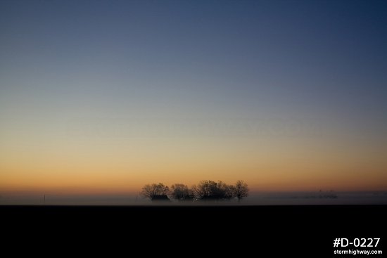 Prairie fog at sunrise