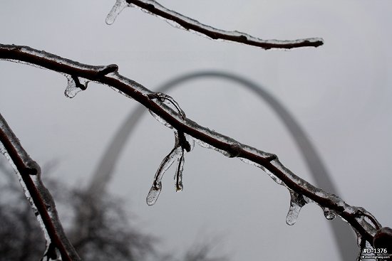 Icicles on tree branches in front of the Gateway Arch in St. Louis