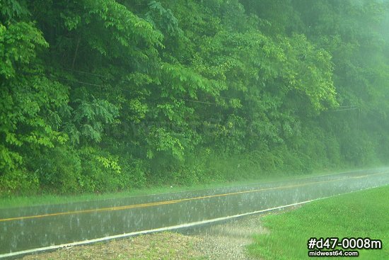 Rain downpour on road with green foliage