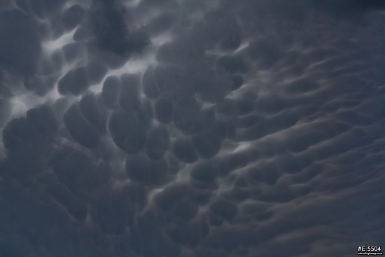 Mammatus clouds near Salina, Kansas