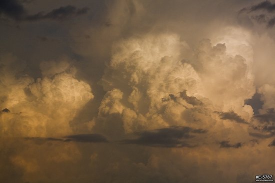 Sunset cumulonimbus in central Illinois