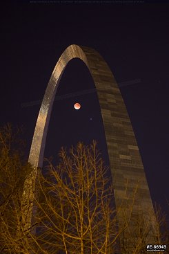 Lunar eclipse vertical with trees