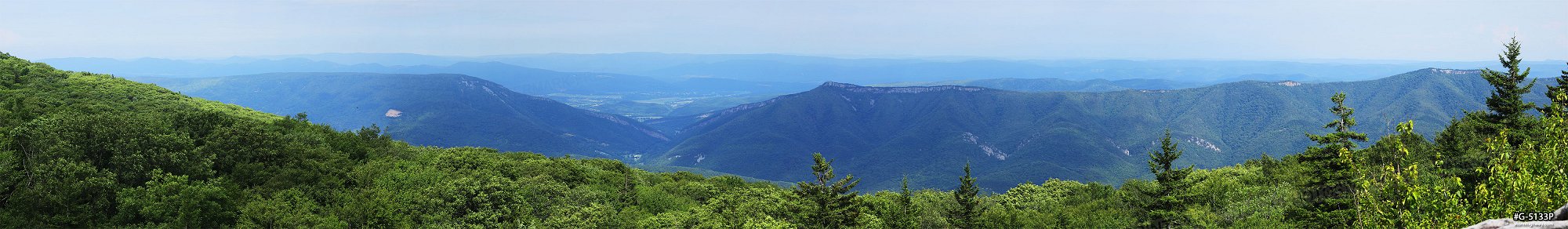 Dolly Sods panorama